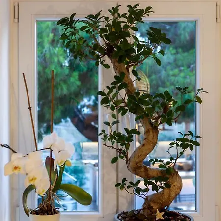 Casa Grande 호텔 4*