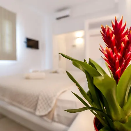 Casa Grande 호텔 Platys Gialos (Mykonos)