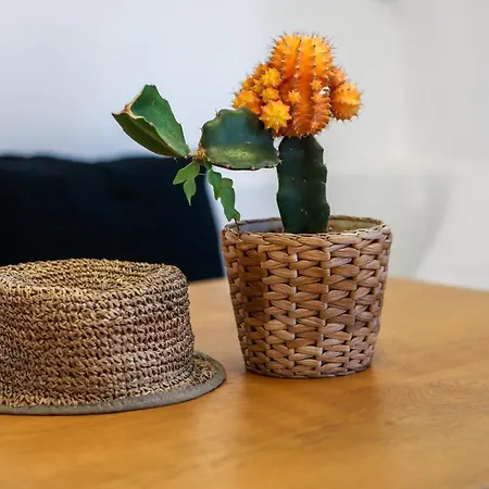 מלון Casa Grande 4*