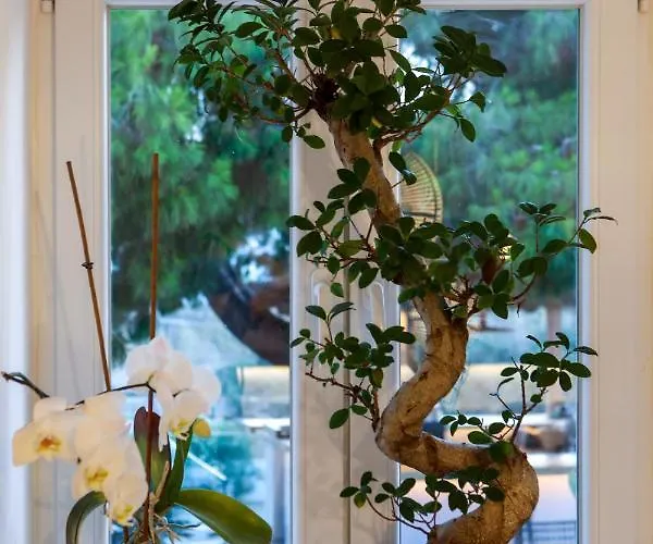 كازا غراندي فندق 4*